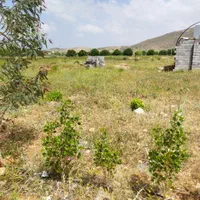 باغ حسین اباد بیضا|فروش زمین و ملک کلنگی|بیضا, |دیوار