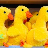 عمده فروشی عروسک خارجی|عمده‌فروشی|شیراز, سیاه سنگ|دیوار