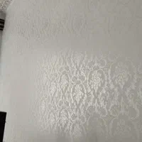 نقاشی منازل و ساختمان ال|خدمات پیشه و مهارت|آستارا, |دیوار