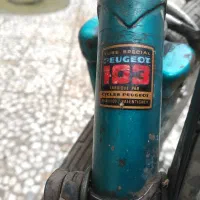 فروش دوچرخه کورسی|دوچرخه، اسکیت، اسکوتر|رشت, امین الضرب|دیوار