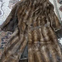 پالتو پوست طبیعی|لباس|سراب, |دیوار