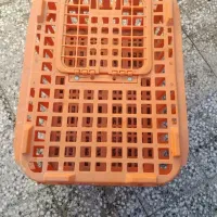 سبد مرغ زنده|لوازم جانبی حیوانات|مریوان, |دیوار