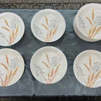 ۱۸ عدد بشقاب ملامین گل گندمین قالب امریکایی|ظروف سرو و پذیرایی|رشت, پورسینا|دیوار