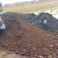 کود دامی|خدمات باغبانی و درختکاری|رشت, پارک شهر|دیوار