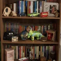 کتابخانه چوبی