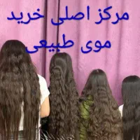 صادر کننده اصلی