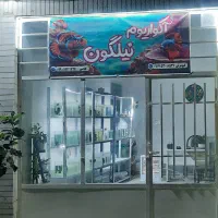 آکواریوم نیلگون