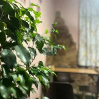 واگذاری کامل کافه فست فود با قیمت استثنایی|کافیشاپ و رستوران|ساری, |دیوار