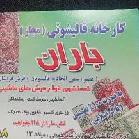 قالیشویی مجاز ((باران))