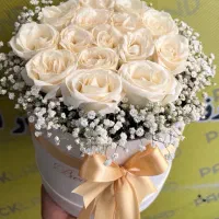 گل طبیعی رز هلندی باکسی فقط شاخه ای ۲۲ تومن|گل و گیاه طبیعی|مشهد, آزادشهر|دیوار