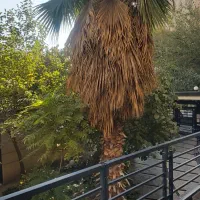 ۱۴۵ متر . احاطه در نور و اکسیژن . ۳خواب