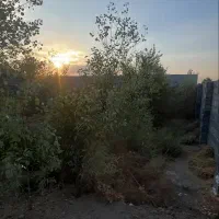 پونصد-متری-در-کفترآباد-بادرخت