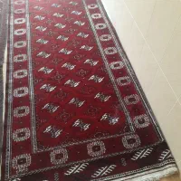 فرش|فرش|گنبد کاووس, |دیوار