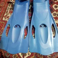 کفش غواصی...