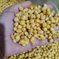 فلافل|خوردنی و آشامیدنی|شیراز, میانرود|دیوار