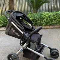 کالسکه|کالسکه و لوازم جانبی|لاهیجان, شیشه گران|دیوار