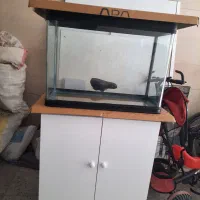 فروش اکواریوم k800 دلسا و میز و نور تهران شریمپ