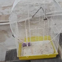 فروش قفس مخصوص عروس هلندی وپرنده