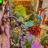 کار در رستوران (ظرف شور خانم)|استخدام خدمات فروشگاه و رستوران|تبریز, |دیوار