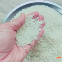 برنج هاشمی لاشه هاشمی درجه یک بشرط عطروپخت|خوردنی و آشامیدنی|هشتگرد, هشتگرد قدیم|دیوار