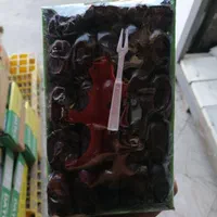 رطب خرما کبکاب زاهدی|خوردنی و آشامیدنی|مشهد, شهرک شیرین|دیوار