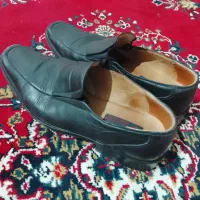 کفش ساسز 43 تمیز