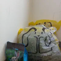 یونجه و پلت خرگوش