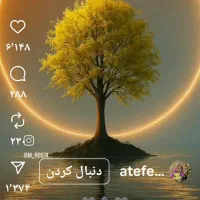 تور گردشگری دیلم