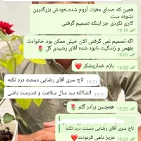 ترک اعتیاد بدون خماری و بستری|خدمات آرایشگری و زیبایی|رفسنجان, |دیوار