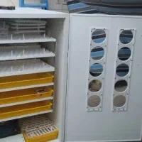 انواع دستگاه جوجه کشی با حافظه انتخاب پرنده|لوازم جانبی حیوانات|گرگان, |دیوار