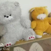 خرس سفید بزرگ 500 در خورموج در حد نو