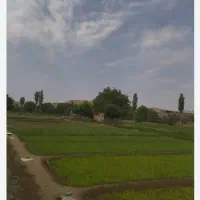 استادکارسبزیخانه