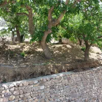 باغچه فروشی|فروش زمین و ملک کلنگی|کوهسار (البرز), |دیوار