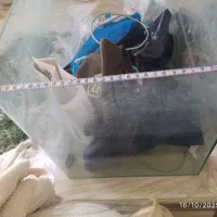 اکواریوم شیشه خم|ماهی|کرج, پیشاهنگی|دیوار