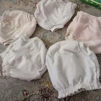 شورت آموزشی