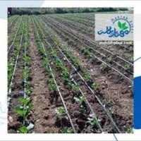 نواری تیپ ضایعات  سر زمین