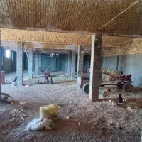 سوله ۳۰۰ متری اجاره یا مشارکت|اجارهٔ دفتر صنعتی، کشاورزی، تجاری|دشتابی, |دیوار