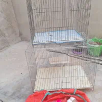 قفس پرنده