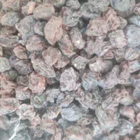 کشمش آبگیری بدون هسته