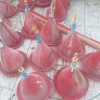 ۱۰۰عدد آبخوری اتوماتیک