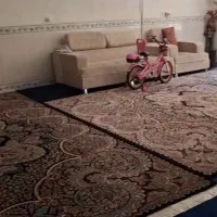 اجاره واحد مستقل ۱۳۰ متری هلانیه