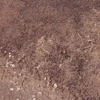 کود حیوانی پین