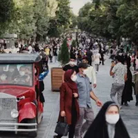 مشاوره و تحقیق قبل از تصمیم