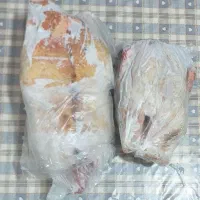 فروش اردک خارجی