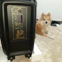 اسپیکر RX|سیستم صوتی خانگی|پاکدشت, پاکدشت (مامازند)|دیوار