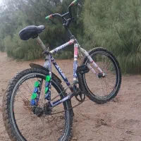 دوچرخه 24اساک