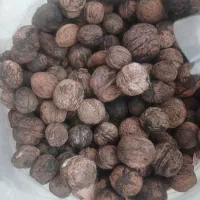 گردو تازه امسالی درشت