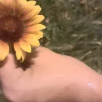 کارگر خط تولید خانم و اقا