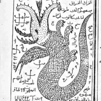 انواع فال و طالع احساس ی وکلی