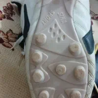 کفش نو|کیف، کفش، کمربند|شیراز, حجت آباد|دیوار